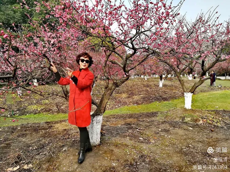 绝知春意好,最奈客愁何?雪树元同色,江风亦自波.赞腊梅～